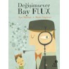 Değişimsever Bay Flux
